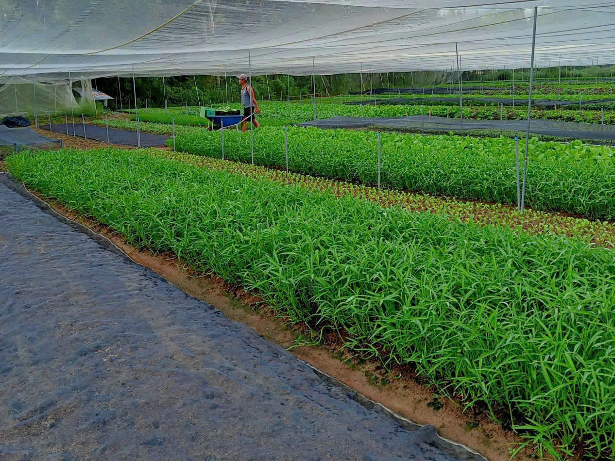 CÔNG TY TNHH THỰC PHẨM HAPPY FARM